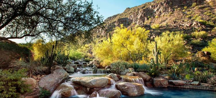 峡谷豪华精选套房酒店 - 腓尼基(The Canyon Suites at the Phoenician, a Luxury Collection Resort, Scottsdale)图片