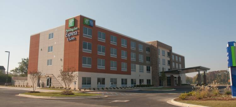 智选假日套房酒店迪凯特 by IHG(Holiday Inn Express & Suites Decatur by IHG)图片