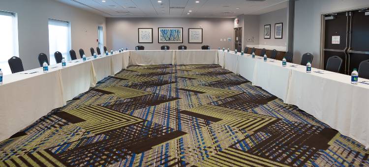 智选假日套房酒店-坦帕东/优博城(Holiday Inn Express & Suites Tampa East - Ybor City)图片