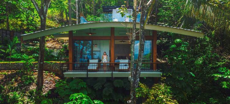 洛斯奥托斯度假村(Los Altos Resort)图片