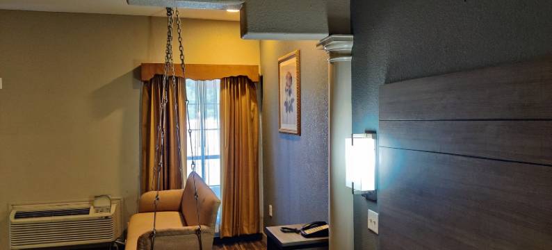 亨博尔丽晶套房酒店(Regency Inn & Suites by Capital O Houston IAH Airport)图片