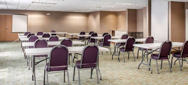 北部舒适套房酒店(Comfort Suites North)图片