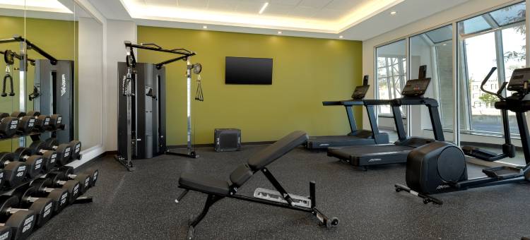 蒙特利尔中城区希尔顿Spark酒店(Spark by Hilton Montreal Midtown)图片