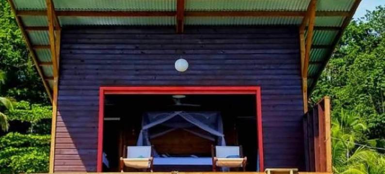 海猴酒店(The Sea Monkey)图片