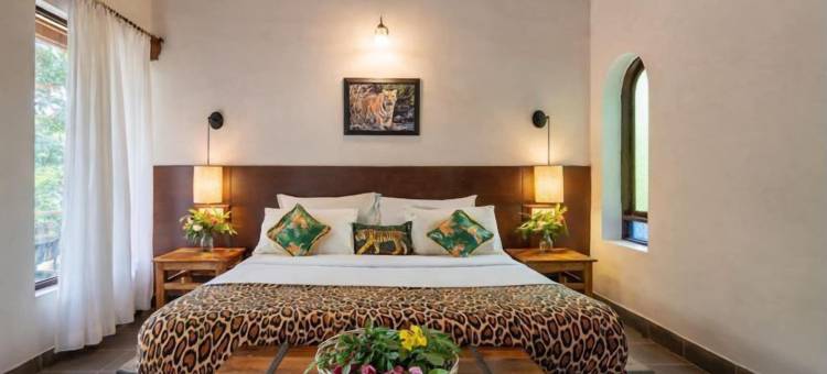 马胡阿托拉塔多巴(Mahua Tola Tadoba)图片