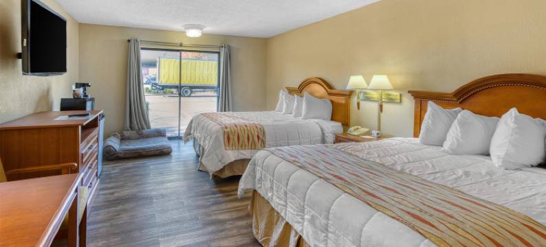 里诺机场贝斯特韦斯特SureStay Plus酒店(SureStay Plus Hotel by Best Western Reno Airport)图片