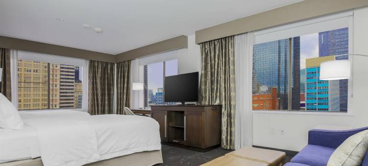 达拉斯市中心希尔顿欢朋酒店(Hampton Inn & Suites Dallas / Downtown)图片
