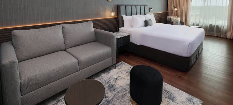 Crowne Plaza 比亚埃尔莫萨(Crowne Plaza VILLAHERMOSA by IHG)图片