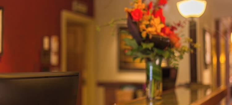 阿维拉乡村酒店(Avila Village Inn)图片