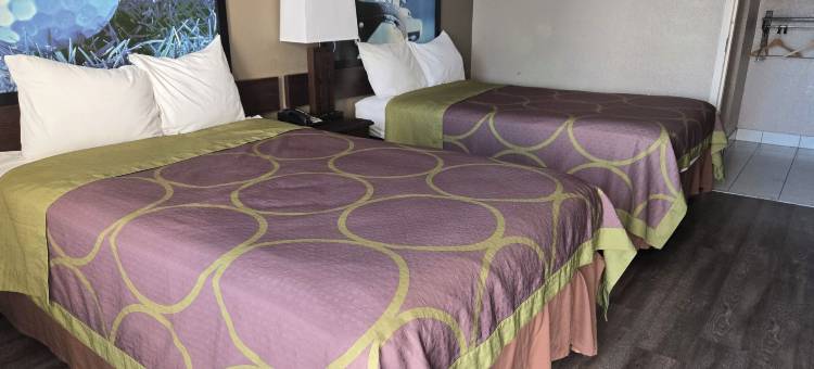 迈尔斯堡速8酒店(Super 8 by Wyndham Fort Myers)图片