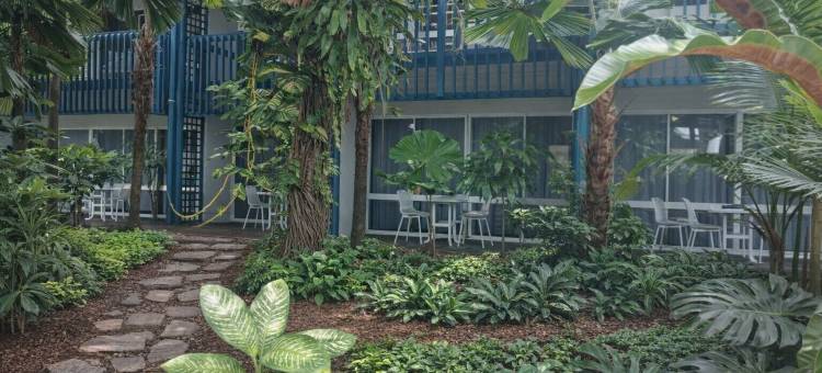 使命海滩小屋(Mission Beach Lodge)图片