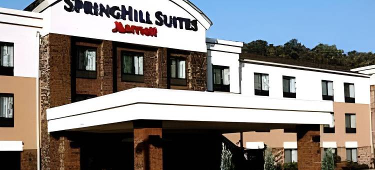 弗雷德克王子村SpringHill Suites酒店(SpringHill Suites Prince Frederick)图片