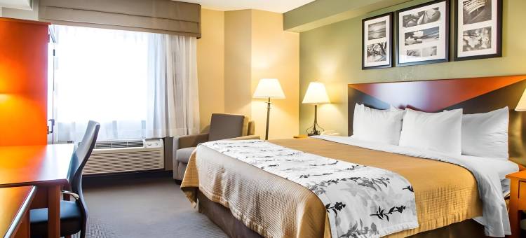 舒眠酒店内珀维尔 - 芝加哥(Sleep Inn Naperville - Chicago)图片