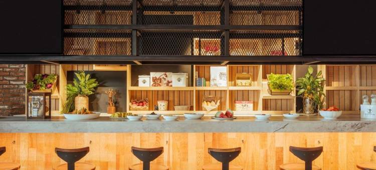 墨西哥城托里奥诺富特酒店(Novotel Mexico City Toreo)图片