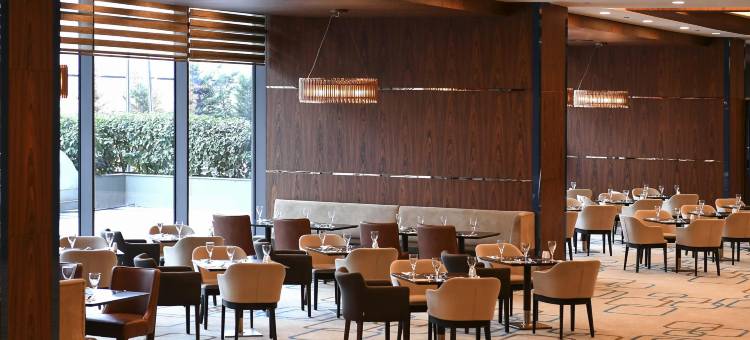 伊斯坦布尔西会议中心美居酒店(Mercure Istanbul West Hotel & Convention Center)图片