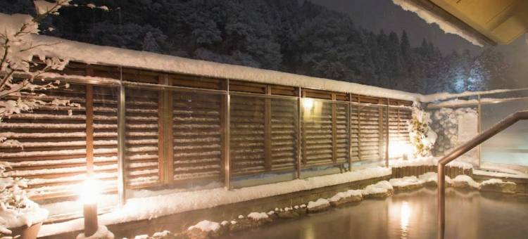新扇屋旅馆(Ryokan New Ougiya)图片