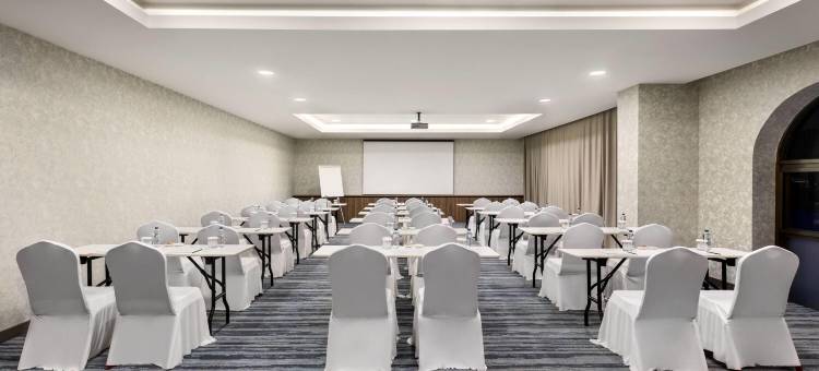 温德姆阿菲翁卡拉希萨温泉SPA酒店(Wyndham Afyonkarahisar Thermal&Spa)图片
