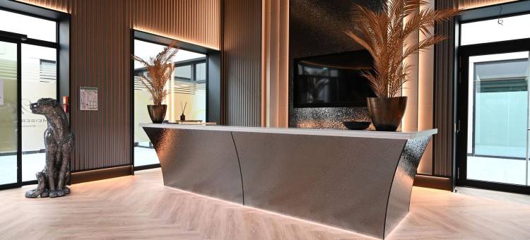 梅塞设计酒店(Meiser Design Hotel)图片