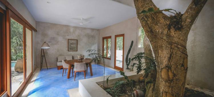 瓦卡斯庄园 - 天然井和精品酒店 - 世界小型奢华酒店(Wakax Hacienda - Cenote & Boutique Hotel)图片