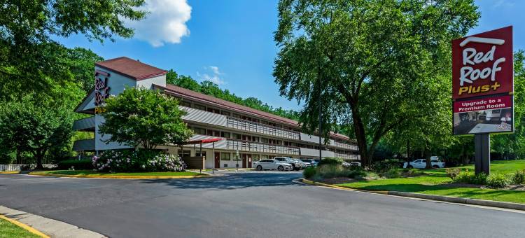 华盛顿哥伦比亚特区-亚历山德拉红屋顶普拉斯酒店(Red Roof Plus+ Washington DC - Alexandria)图片