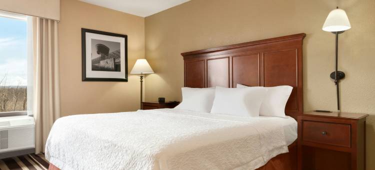 希尔顿欢朋酒店-华盛顿杜勒斯机场南(Hampton Inn Washington-Dulles Int'l Airport South)图片