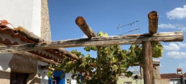 Casa Das Andorinhas图片