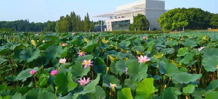 名家酒店(菱湖公园开放大学店)图片