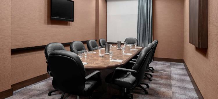明尼阿波利斯市区希尔顿花园酒店(Hilton Garden Inn Minneapolis Downtown)图片