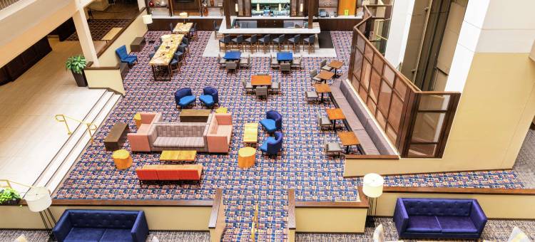 费城西希尔顿逸林套房酒店(DoubleTree Suites by Hilton Philadelphia West)图片