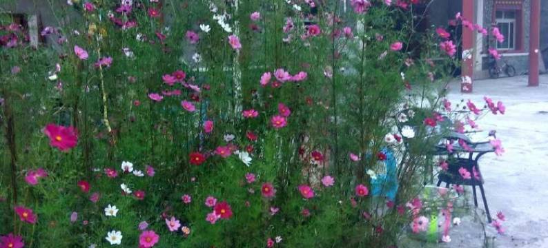 毕棚沟四季休闲庄图片