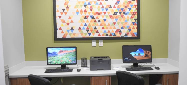 智选假日套房酒店弗多斯塔西 - MALL区(Holiday Inn Express & Suites Valdosta West - Mall Area)图片