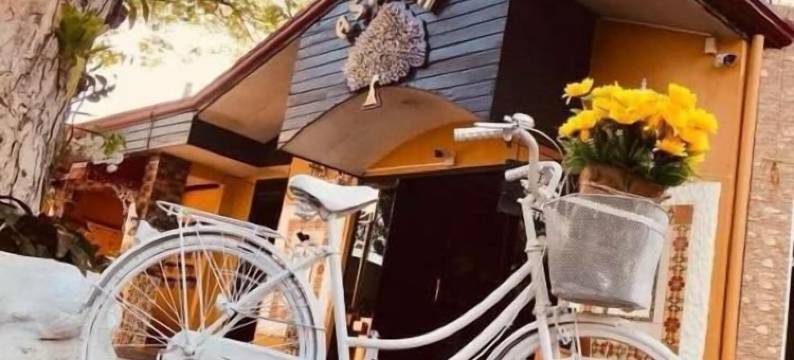 亚洲十号酒店(Asiaten Hotel)图片