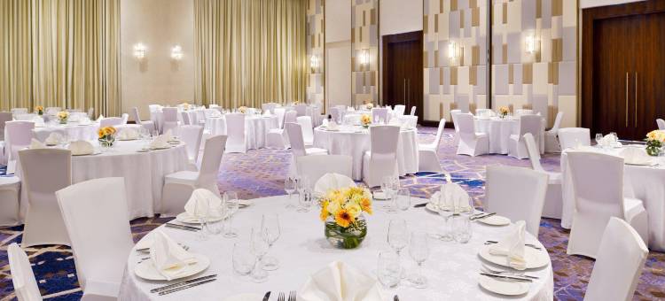 迪拜阿勒马克图姆机场假日酒店(Holiday Inn Dubai Al-Maktoum Airport)图片