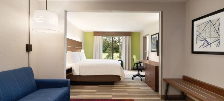 拉伏尼亚智选假日酒店(Holiday Inn Express & Suites LAVONIA by IHG)图片