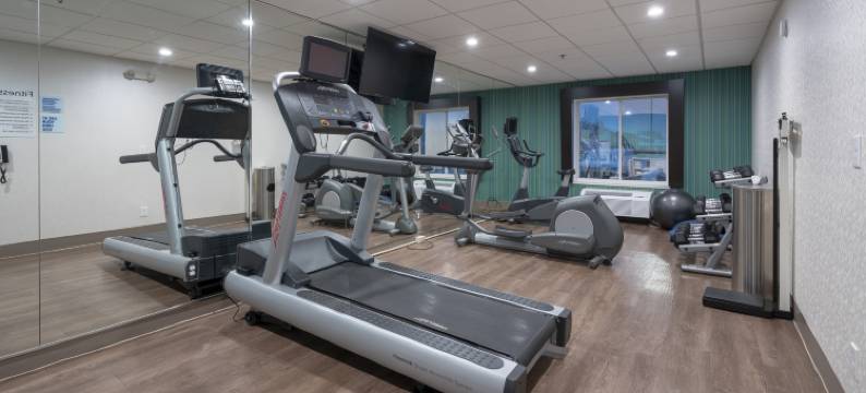 洲际智选假日套房酒店库恩拉匹兹-布莱恩地区(Holiday Inn Express & Suites COON RAPIDS-BLAINE AREA by IHG)图片