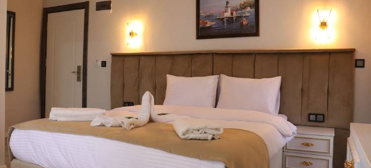 MES酒店及水疗中心(Samsun Mes Hotel & Spa)图片