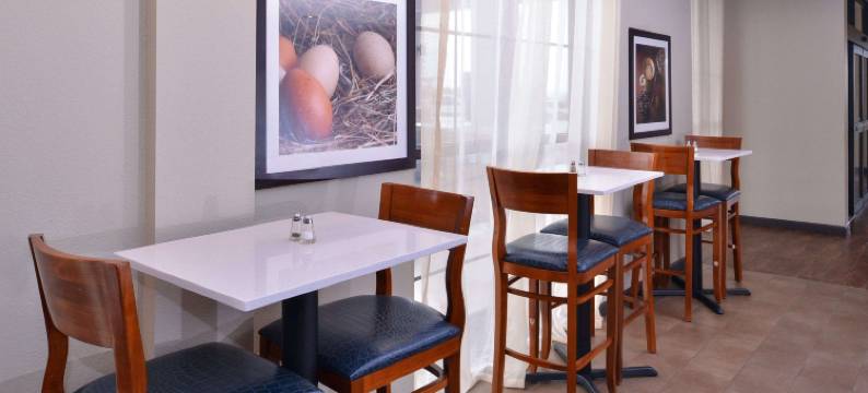 舒适套房酒店-近韦斯特彻斯8号环城路(Comfort Suites near Westchase on Beltway 8)图片