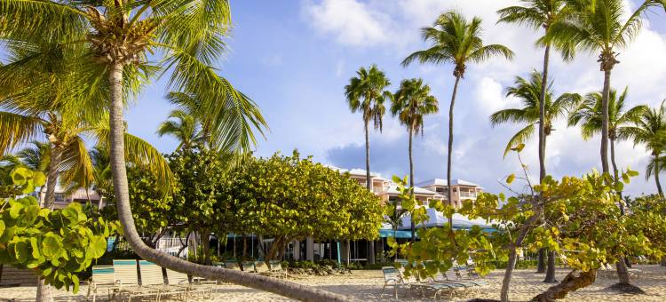 伊利森海滩度假村(Club Wyndham Elysian Beach Resort)图片