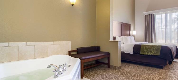 布拉克锡尔84高速公路舒适酒店(Comfort Inn Blackshear Hwy 84)图片