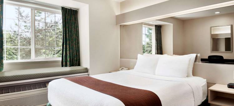 洛迪-北斯托克顿麦客达套房酒店(Microtel Inn & Suites by Wyndham Lodi/North Stockton)图片