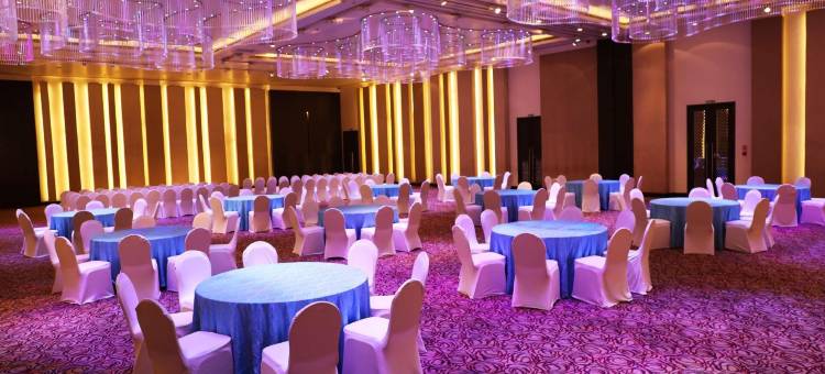 拉普萨亚吉酒店(Sayaji Raipur)图片