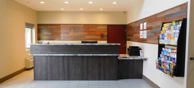 岛屿套房酒店(Island Suites)图片