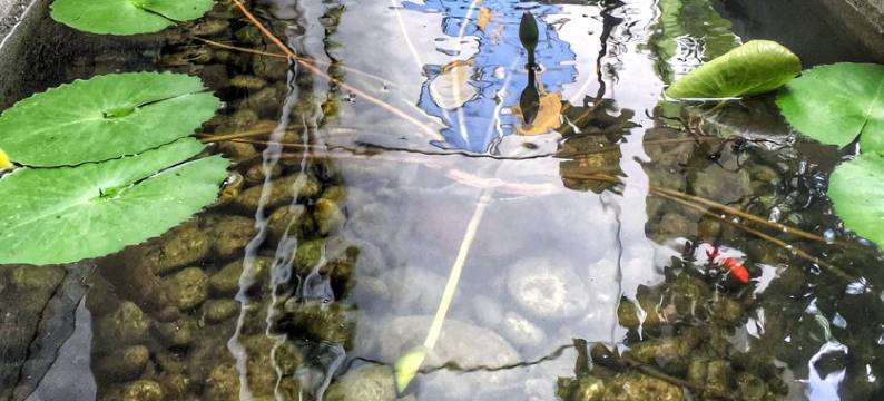 西双版纳景洪市爱纳酒店(告庄星光夜市店)图片