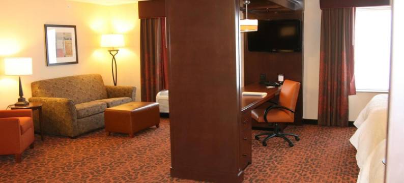 秘鲁希尔顿欢朋旅馆&套房酒店(Hampton Inn & Suites Peru)图片