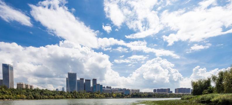 花容设计师民宿(谊康北路1号分店)图片