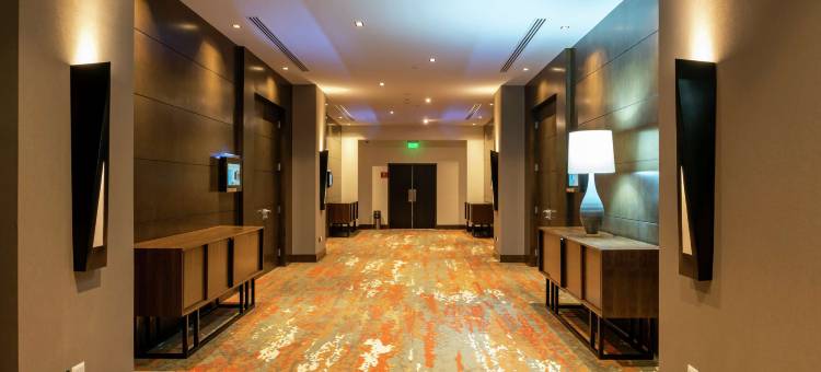 希尔顿花园酒店-奇瓦瓦(Hilton Garden Inn Chihuahua)图片