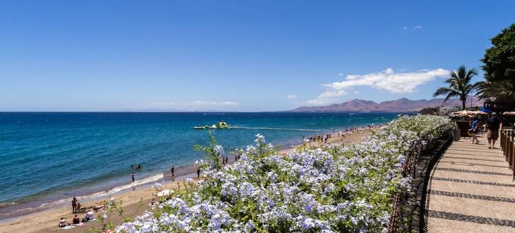 拉布兰达椰子树酒店(Labranda Los Cocoteros)图片