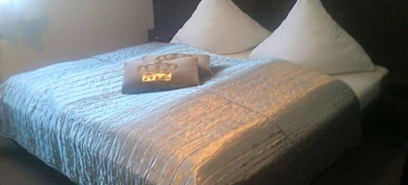 阿姆施夫瑟贝沃克酒店(Hotel am Schiffshebewerk)图片