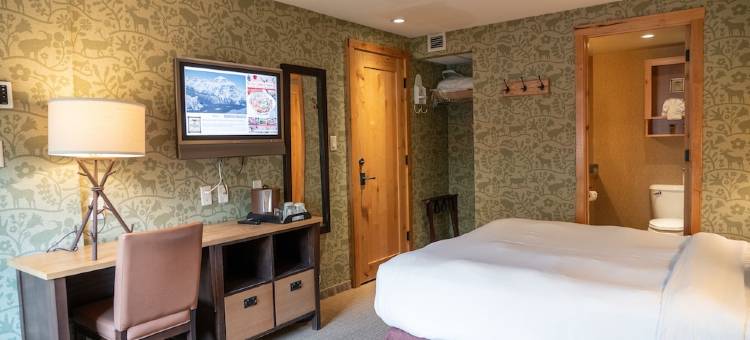 福克斯套房酒店(Fox Hotel and Suites)图片