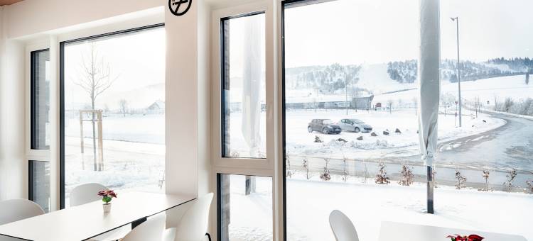 维林根B&B酒店(B&B HOTEL Willingen)图片